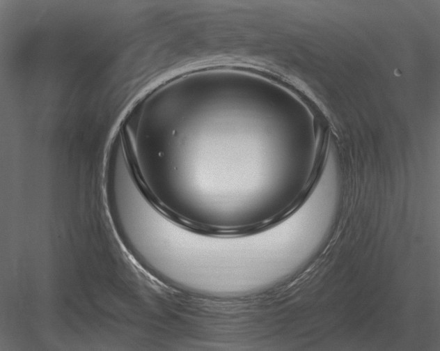 X0000084551508200702231151