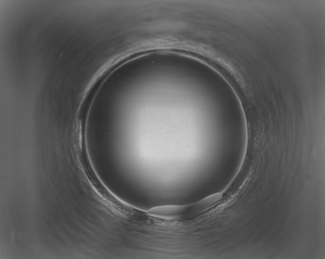 X0000084551509200702231151