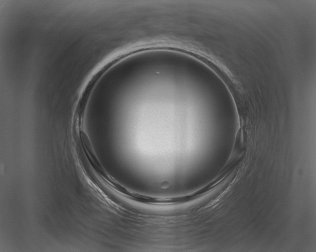 X0000084551510200702231151