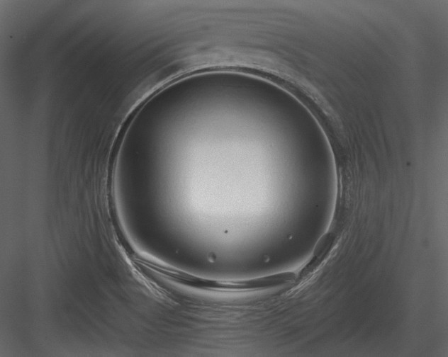 X0000084551513200702231151