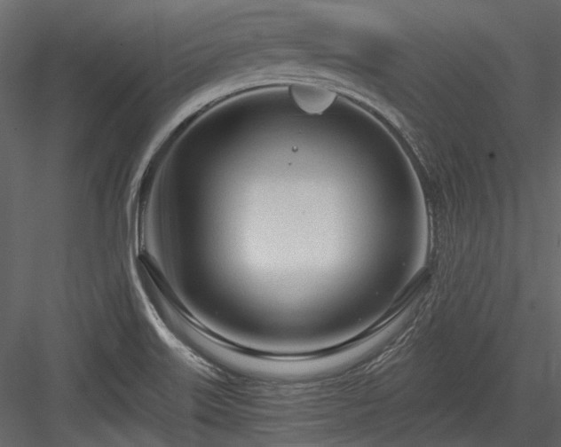 X0000084551515200702231151
