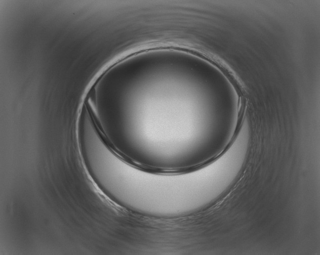 X0000084551516200702231151