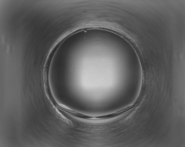 X0000084551517200702231151