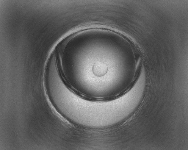 X0000084551518200702231151