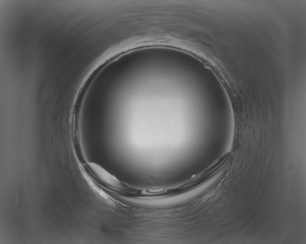 X0000084551519200702231151