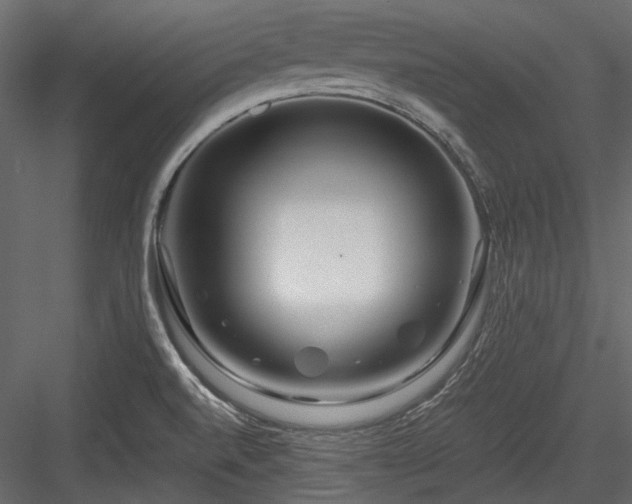 X0000084551520200702231151