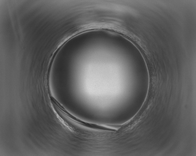 X0000084551521200702231151