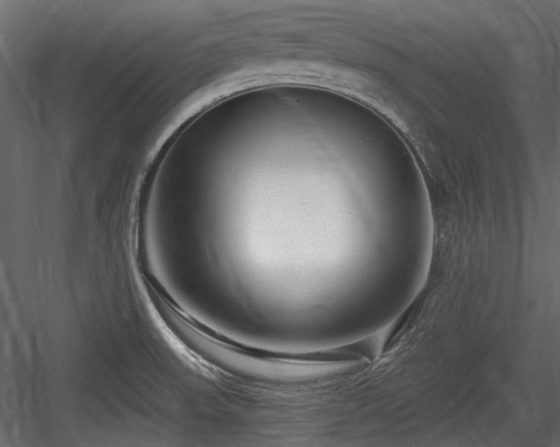 X0000084551523200702231151