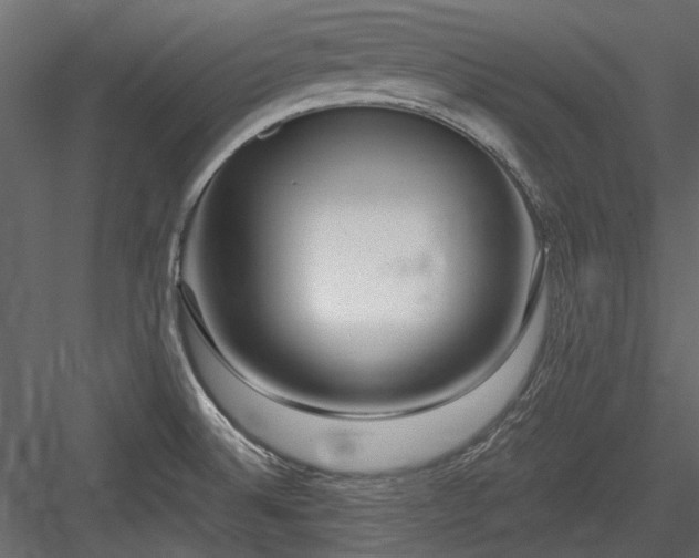 X0000084551524200702231151