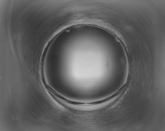 X0000084551525200702231151