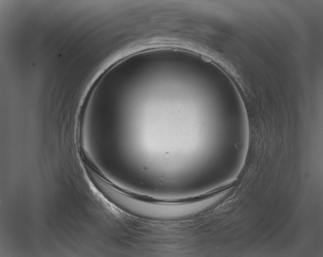 X0000084551527200702231151