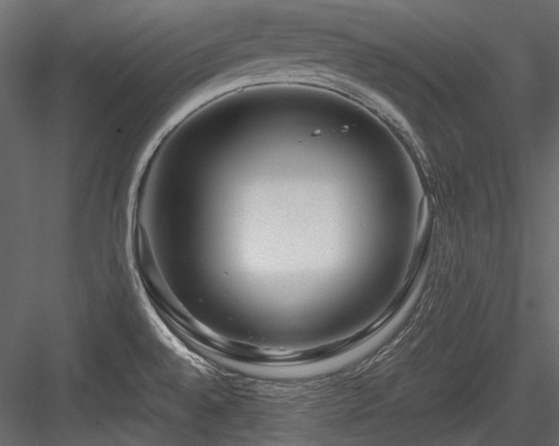 X0000084551528200702231151