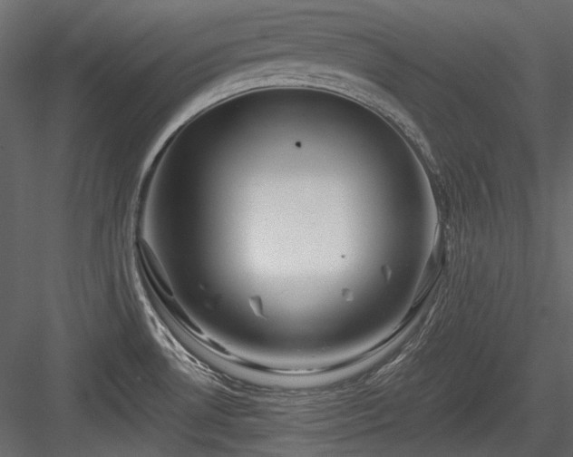 X0000084551530200702231151