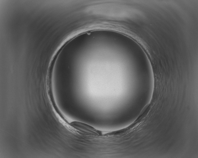 X0000084551531200702231151