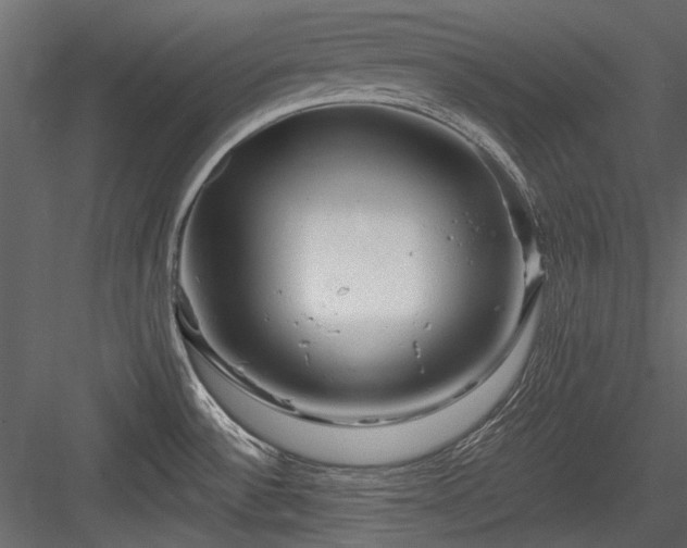 X0000084551532200702231151