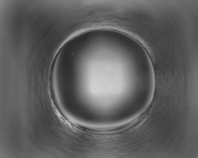 X0000084551534200702231151