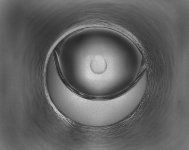 X0000084551536200702231151