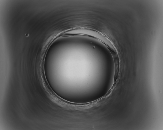 X0000084550001200703021516