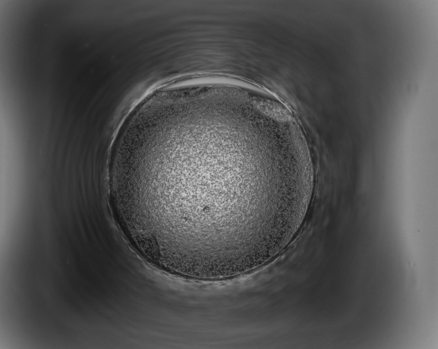 X0000084550002200703021516