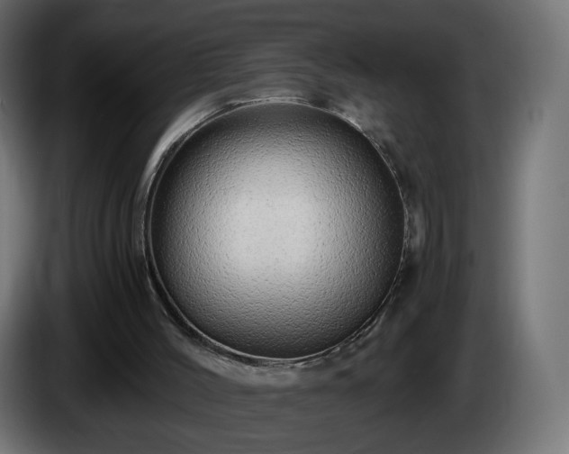 X0000084550004200703021516