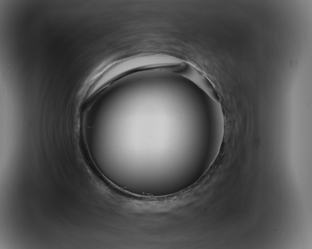 X0000084550005200703021516