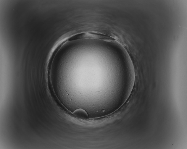 X0000084550006200703021516
