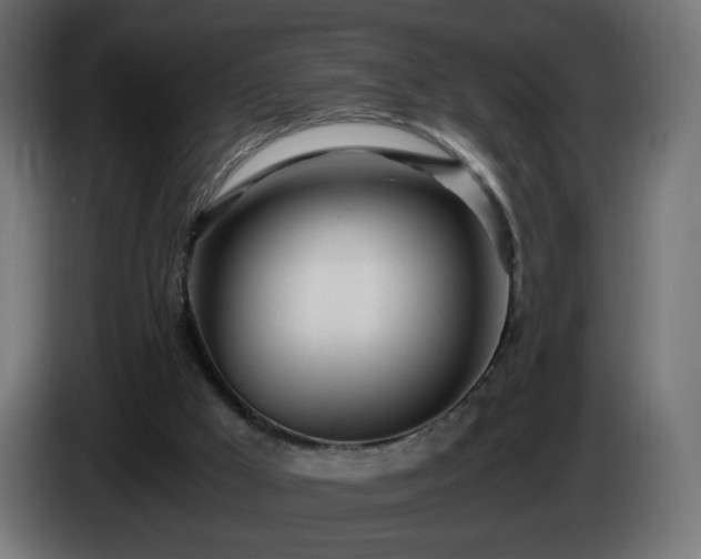 X0000084550009200703021516