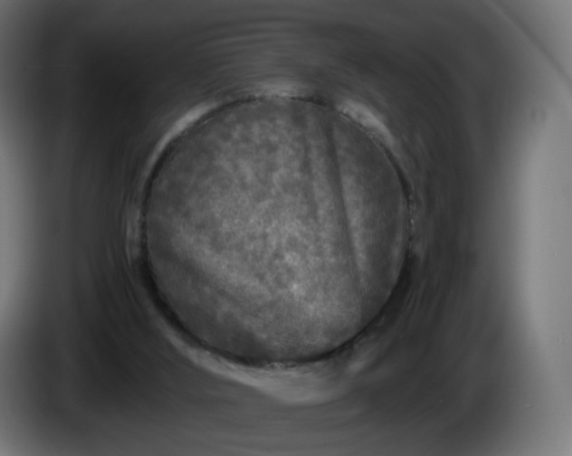 X0000084550012200703021516