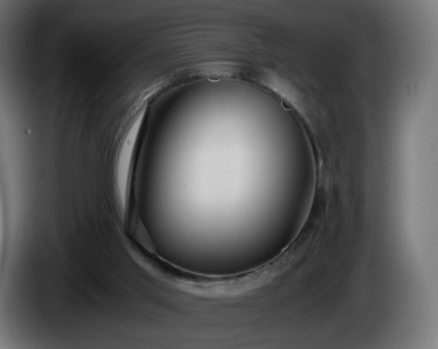 X0000084550013200703021516