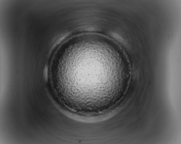 X0000084550014200703021516