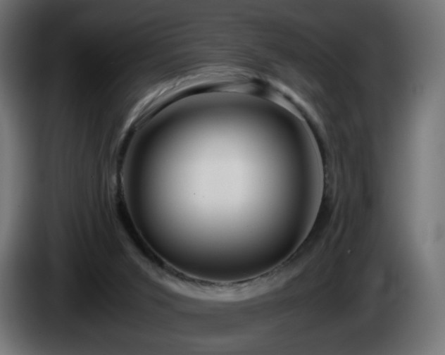 X0000084550015200703021516