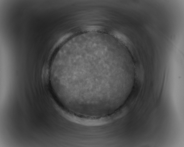 X0000084550016200703021516