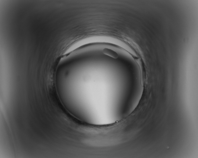 X0000084550017200703021516