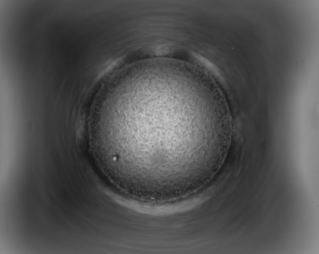 X0000084550018200703021516
