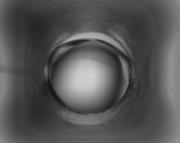X0000084550019200703021516