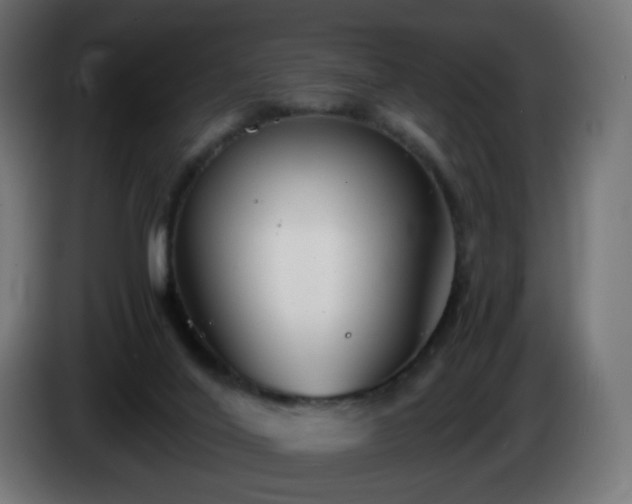 X0000084550020200703021516