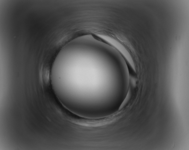 X0000084550021200703021516