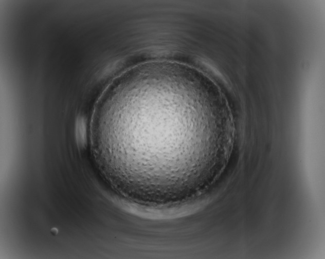 X0000084550022200703021516