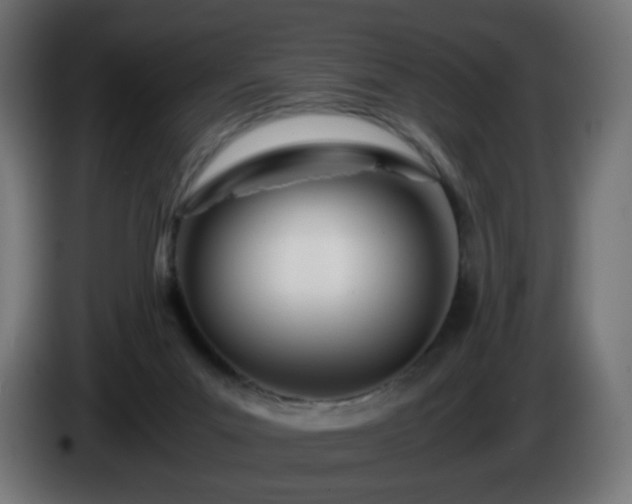 X0000084550023200703021516
