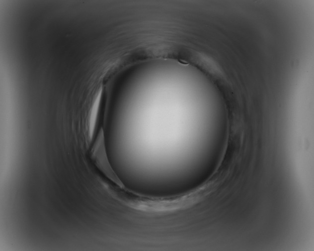 X0000084550025200703021516
