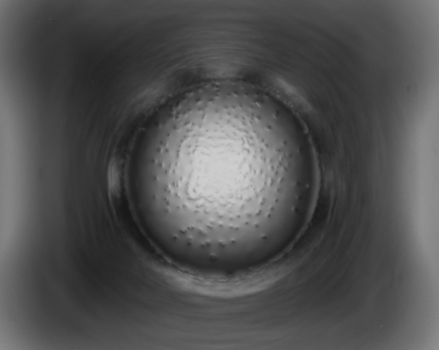 X0000084550026200703021516