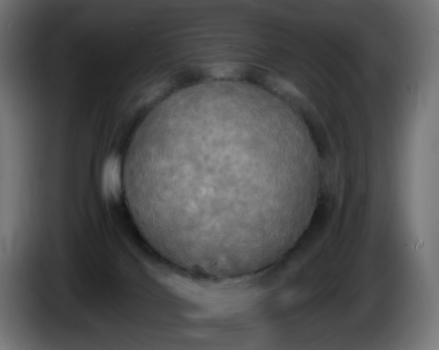 X0000084550028200703021516