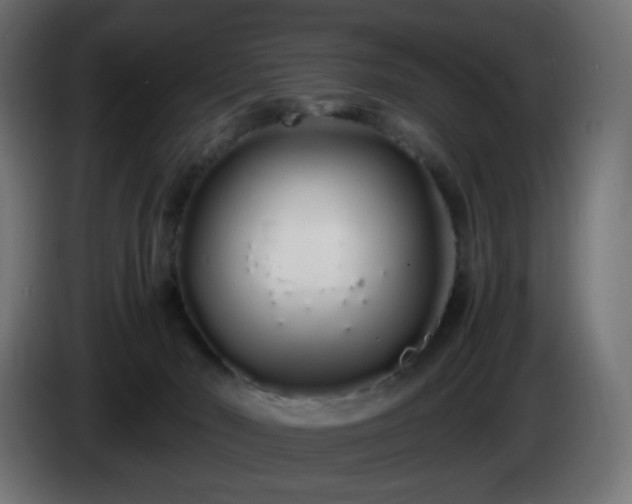 X0000084550030200703021516