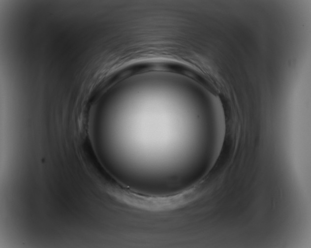 X0000084550031200703021516