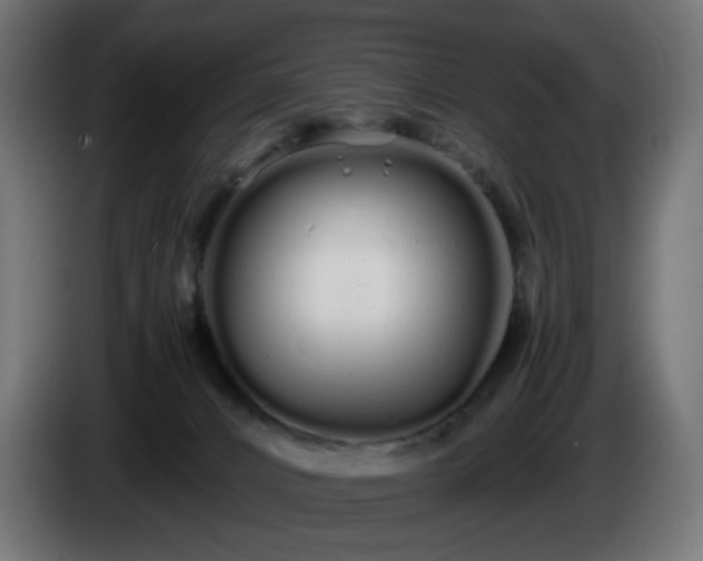 X0000084550032200703021516