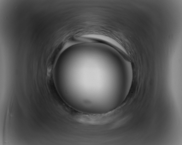 X0000084550033200703021516