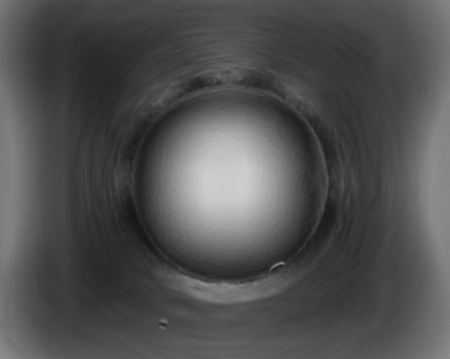 X0000084550034200703021516