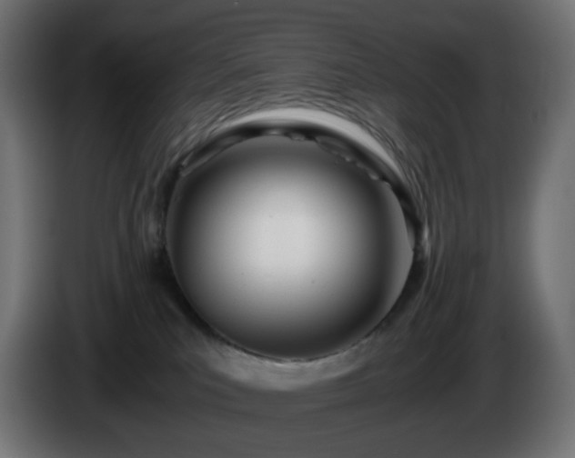 X0000084550039200703021515