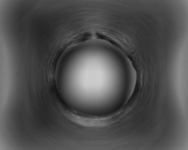 X0000084550040200703021515