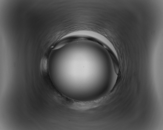 X0000084550041200703021515